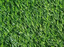 Искусственная трава Ideal Wuxi - Uqs 3516 Wuxi  Uqs 3516 фото 1 | FLOORDEALER